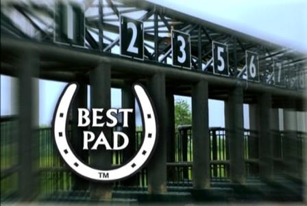 Best Pad Safety padded race starting gate with Best Pad logo